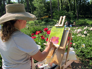 Artist painting a peony while situated in front of a peony bed