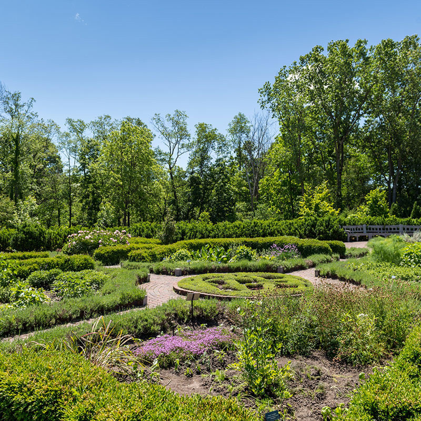Southeastern view of the garden
