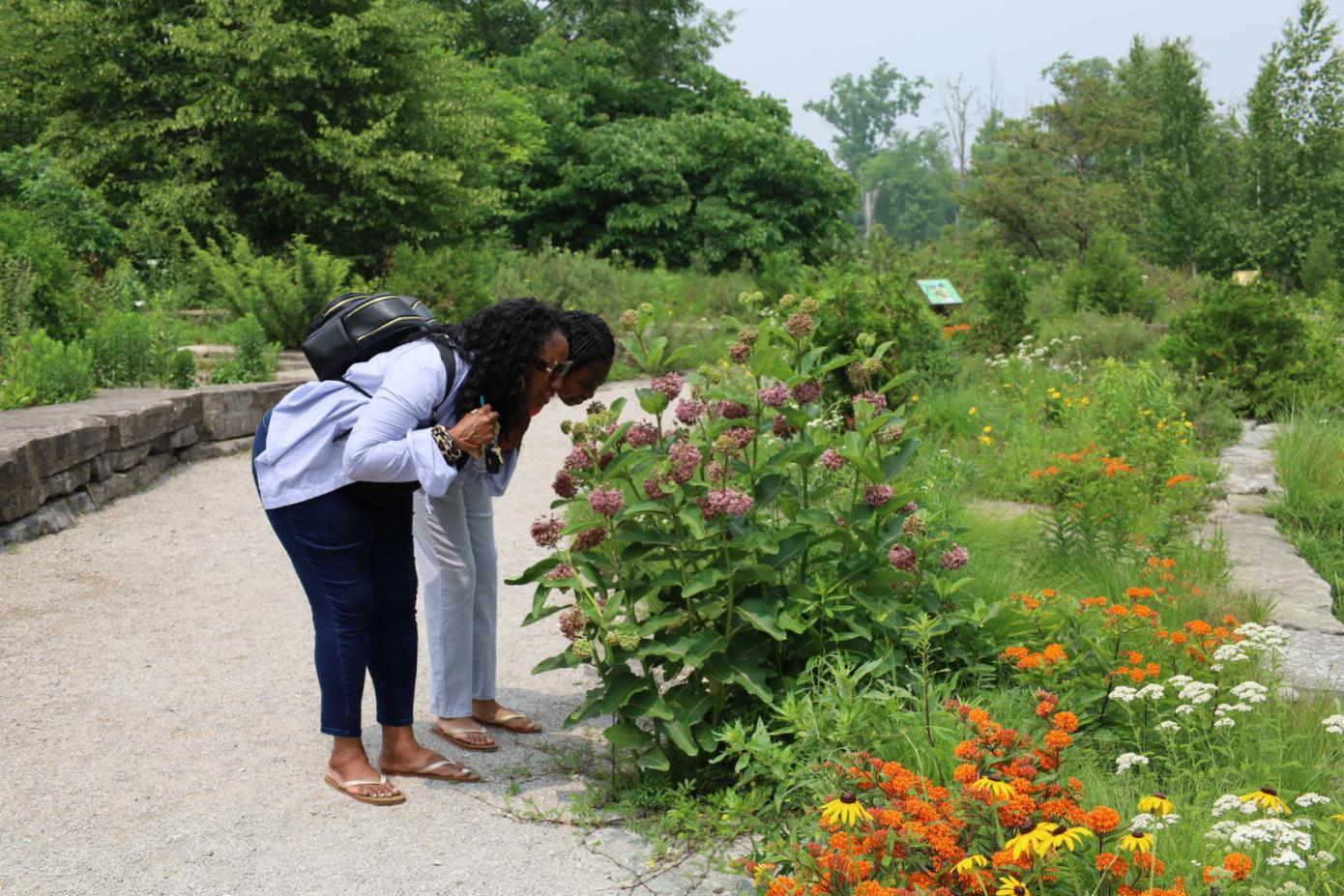Two people looking at plants in the great lakes garden