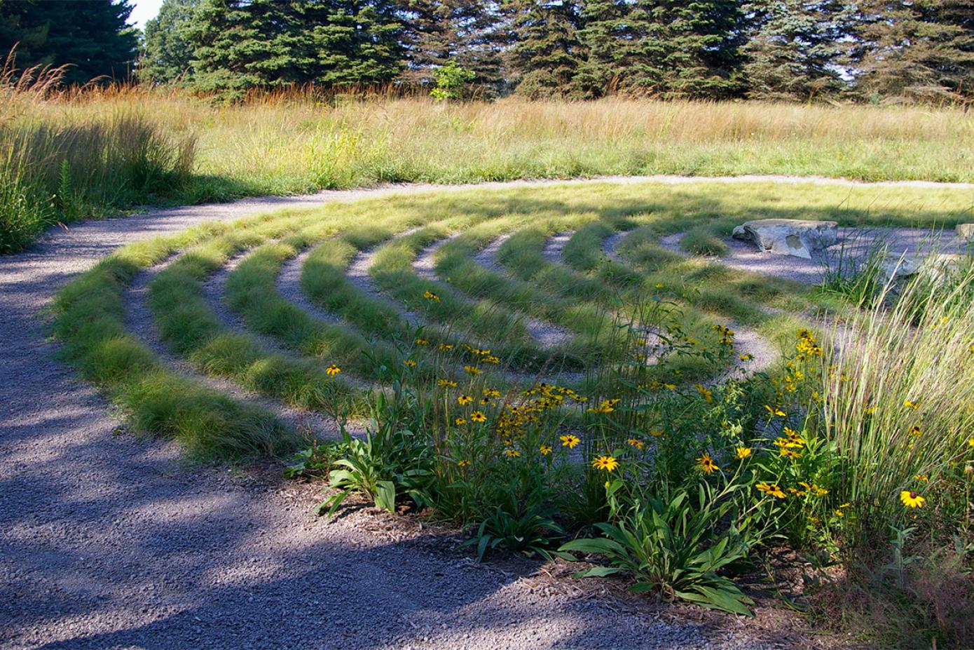 Flowers in front of the Labyrinth