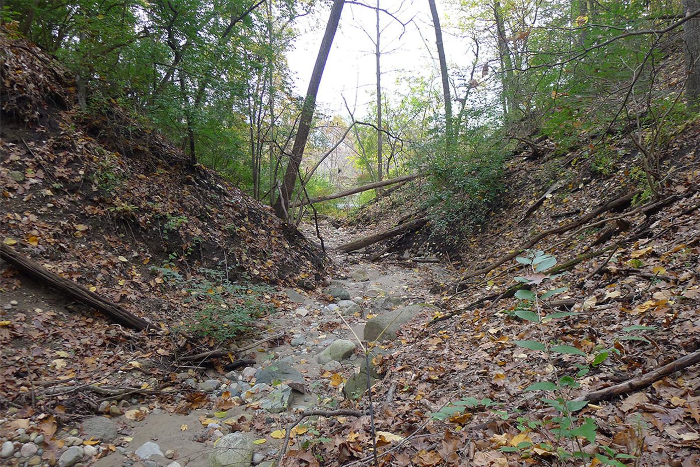 A view of a small gully carved out by water