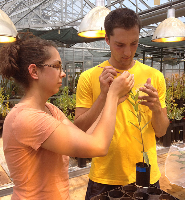 Two students conducting research in a greenhouse.
