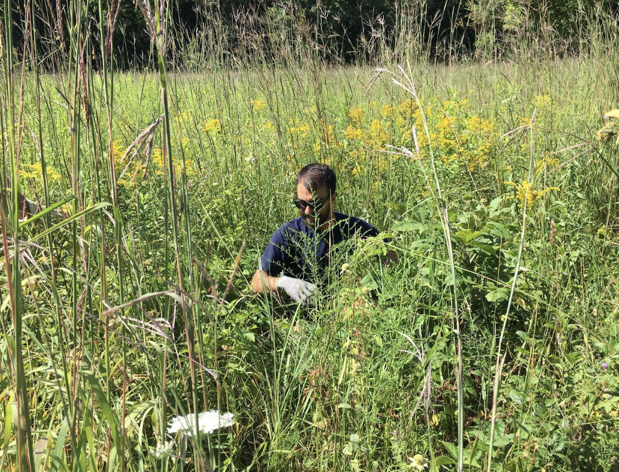 Volunteer collecting weeds in an outdoor garden