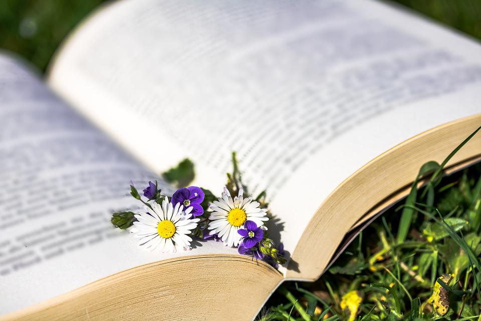 Open book with daisies on the page
