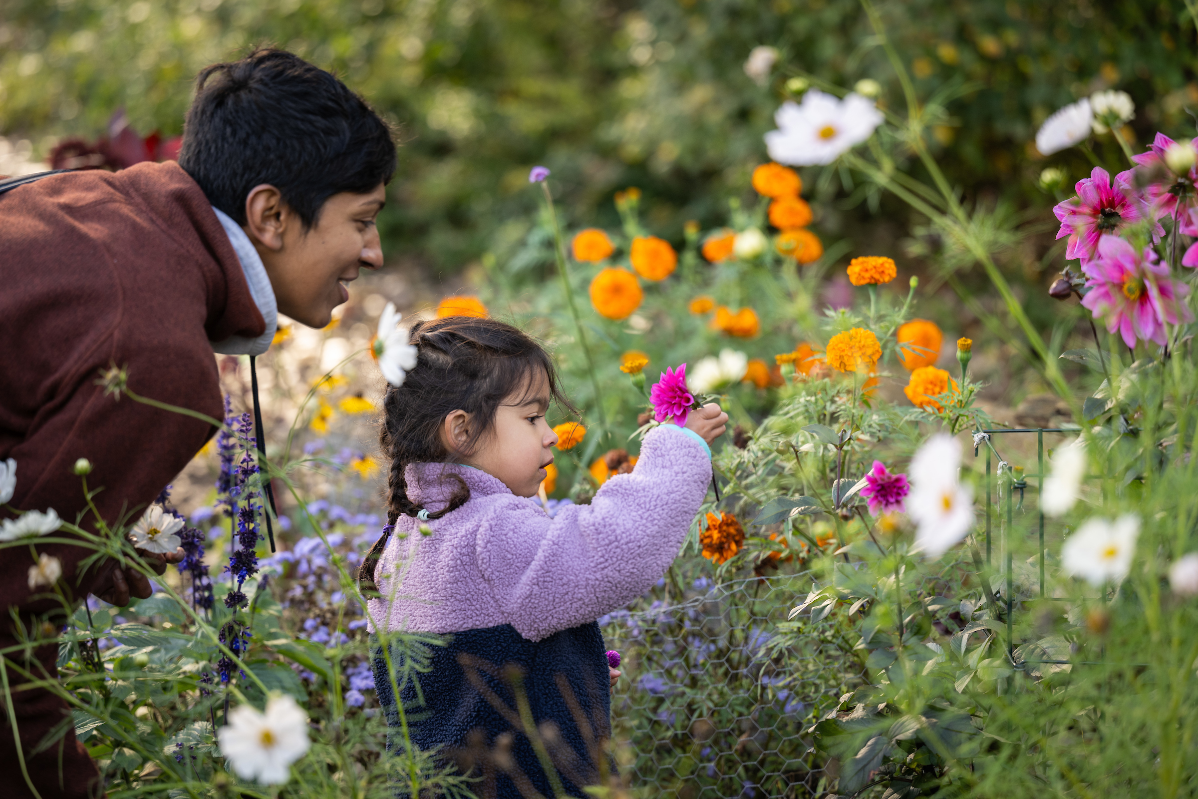 an adult and child look at colorful flowers