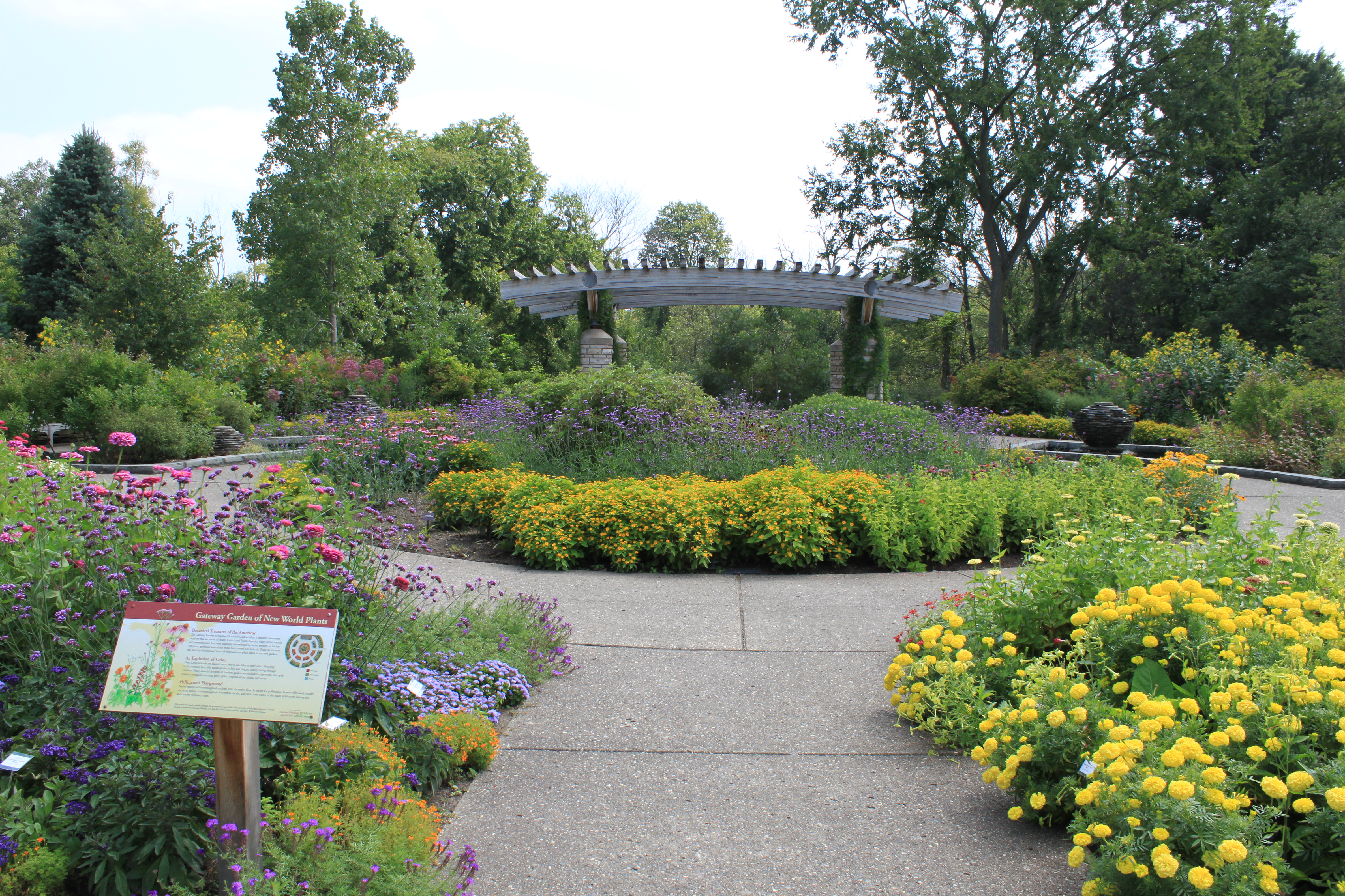 Gateway garden at Matthaei Botanical Gardens filled iwth yellow and purple flowers and a pergola in the center