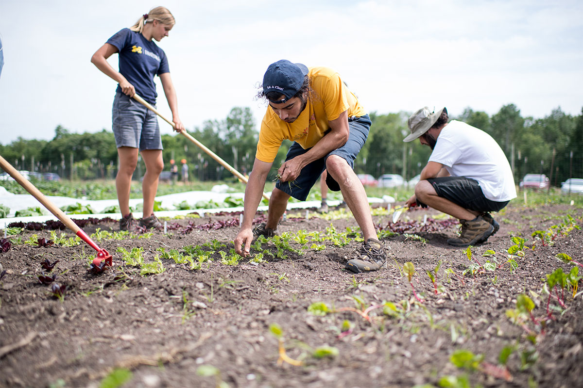 Students tending the campus farm