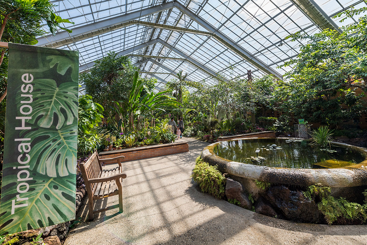 The tropical house section of the conservatory