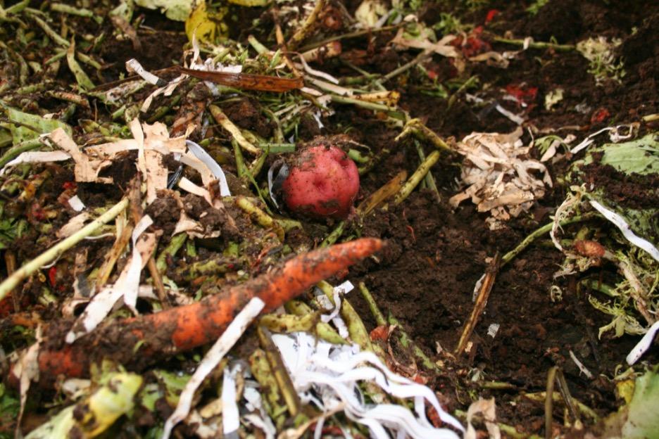 Compost