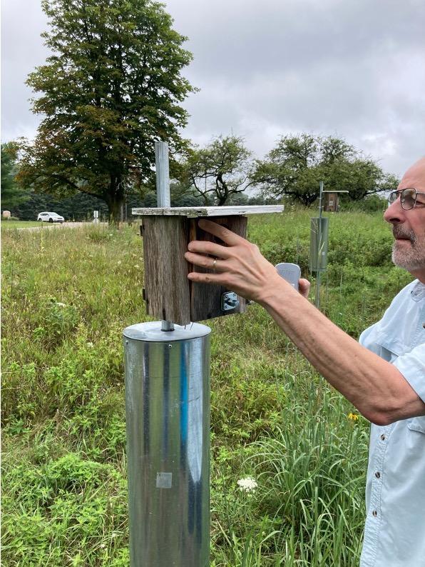 Matthaei volunteer, Bill Moran, monitors a nest box. 