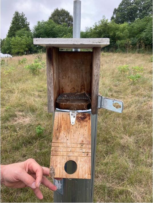  A look inside an unoccupied nest box. Birds will build their nests on top of the wire mesh, which helps keep blowflies and other pests away from the nest. 