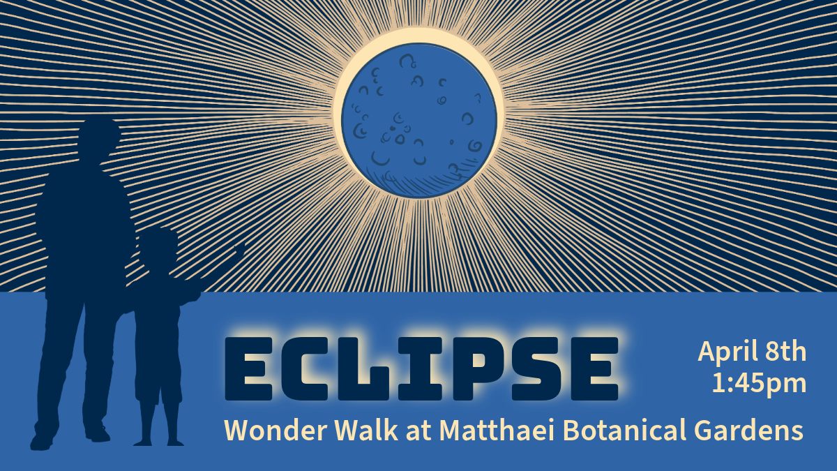 eclipse graphic with eclipse illustration and adult and child looking at it