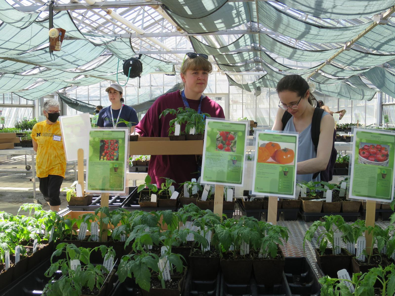 people shopping plant sale