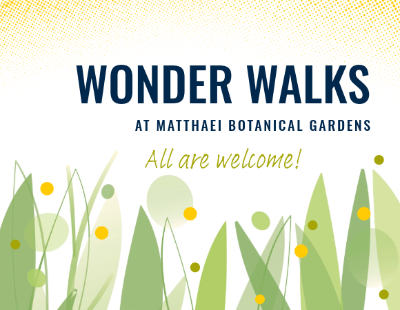 wonder walk graphic with grass and dots