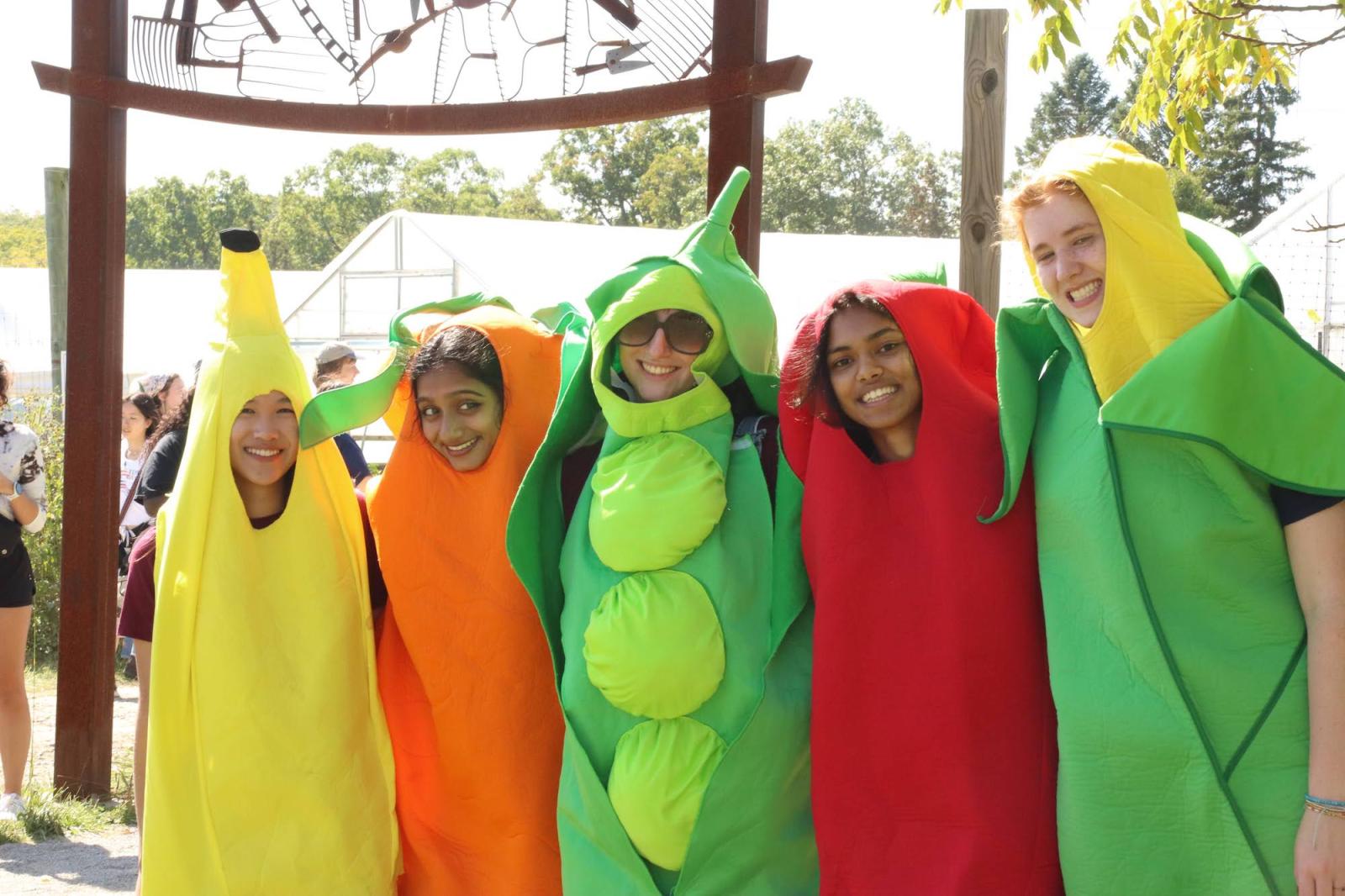 people dressed in costumes: Banana, carrot, pes pod, red pepper, corn