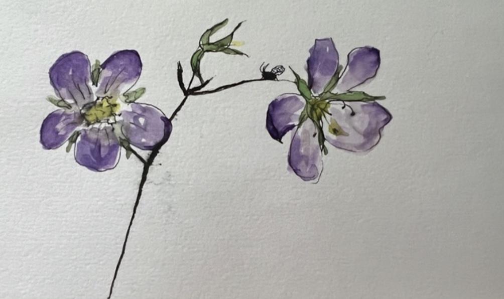 watercolor painting of two purple flowers