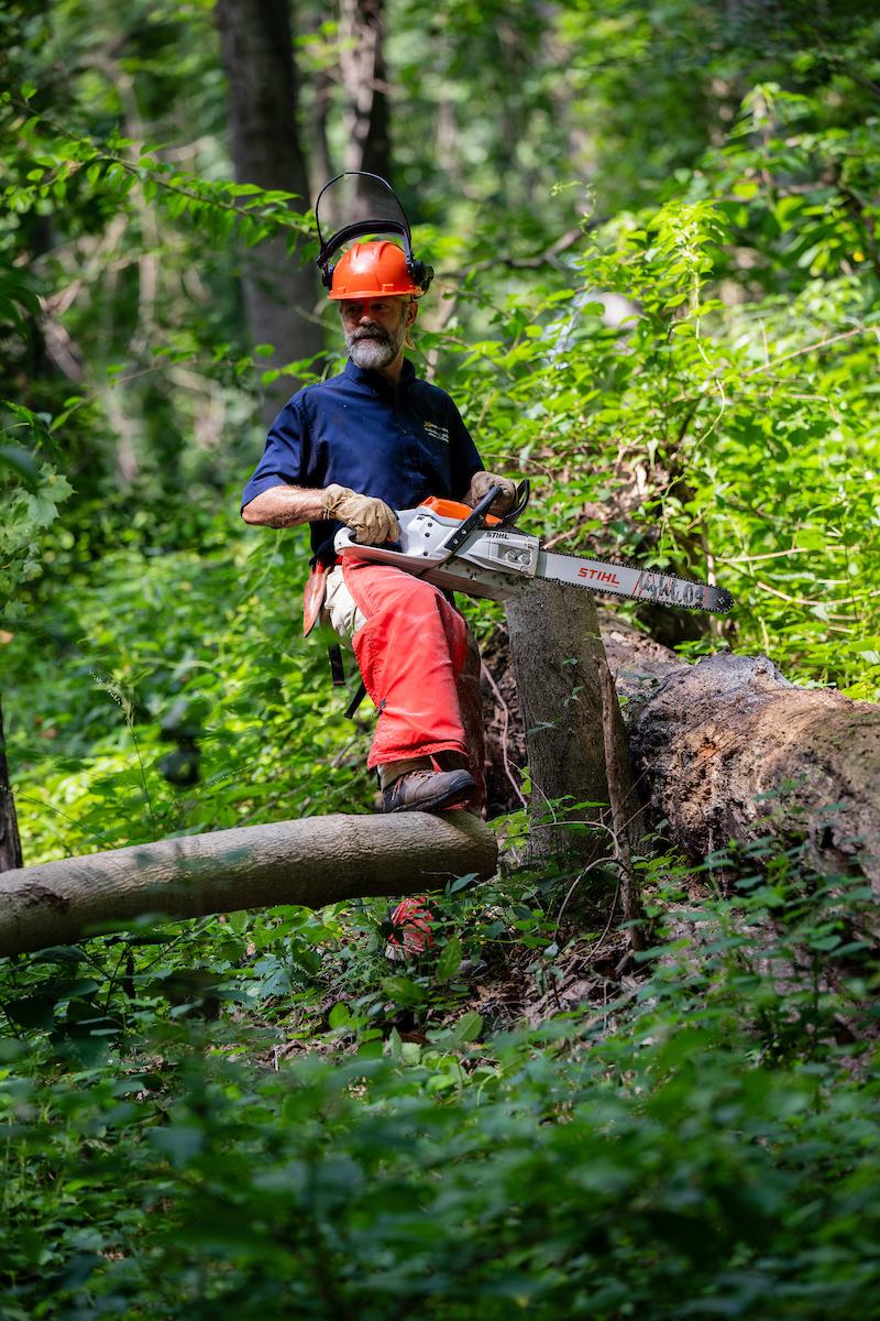 Steve holds an electric chainsaw in the Arb