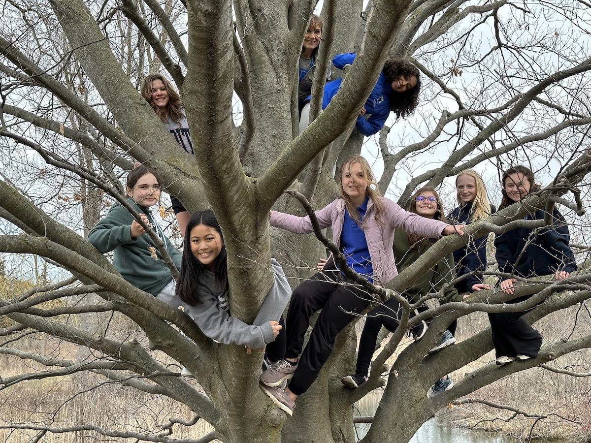 8 kids in a leafless tree smiling