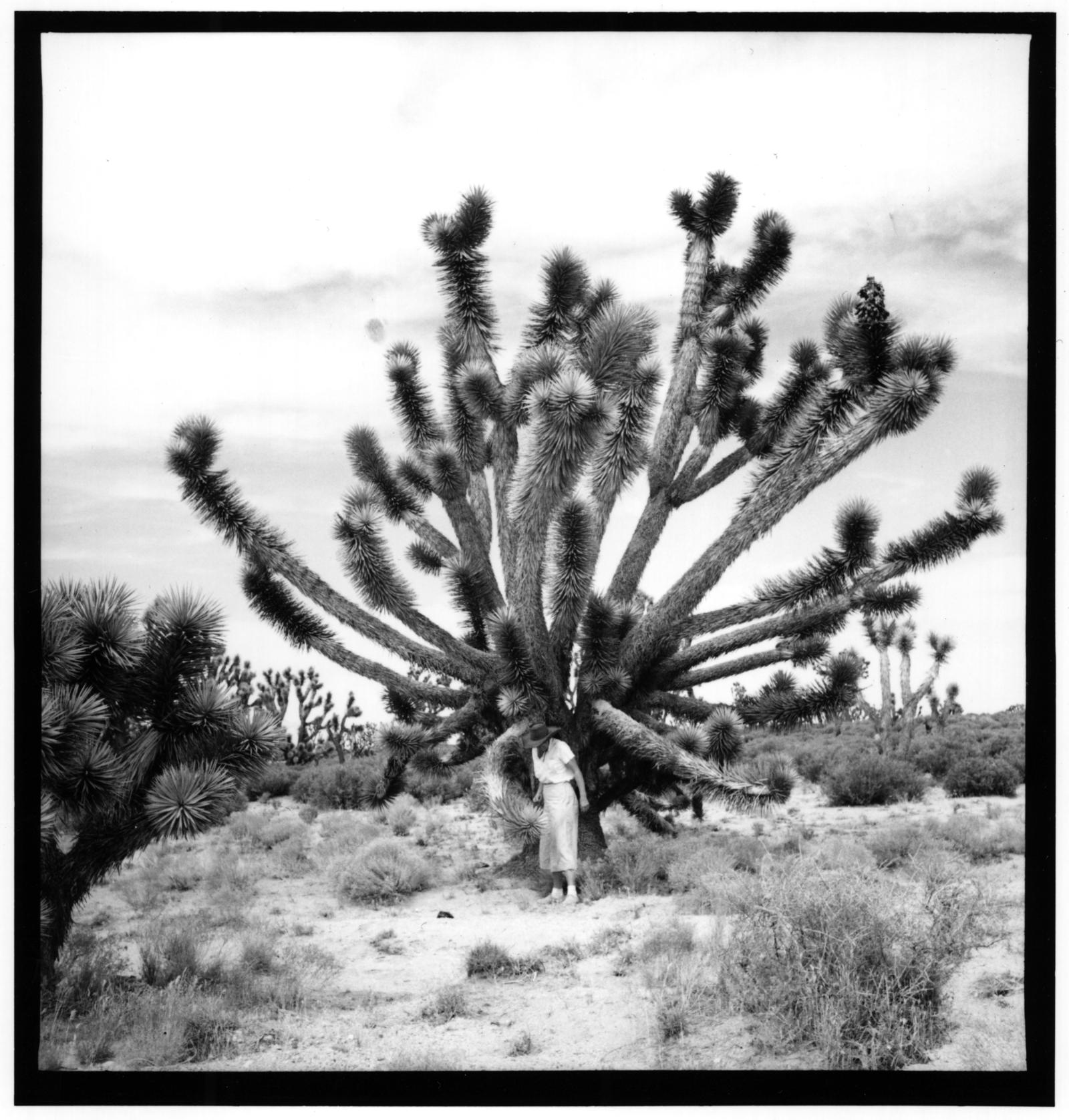 Elzada Clover next to tall cactus