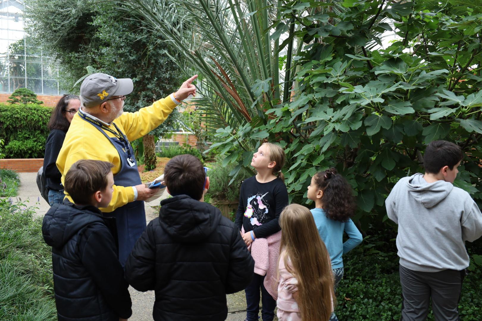 an adult points to a tree in the conservatory while a group of elementary ages children look on