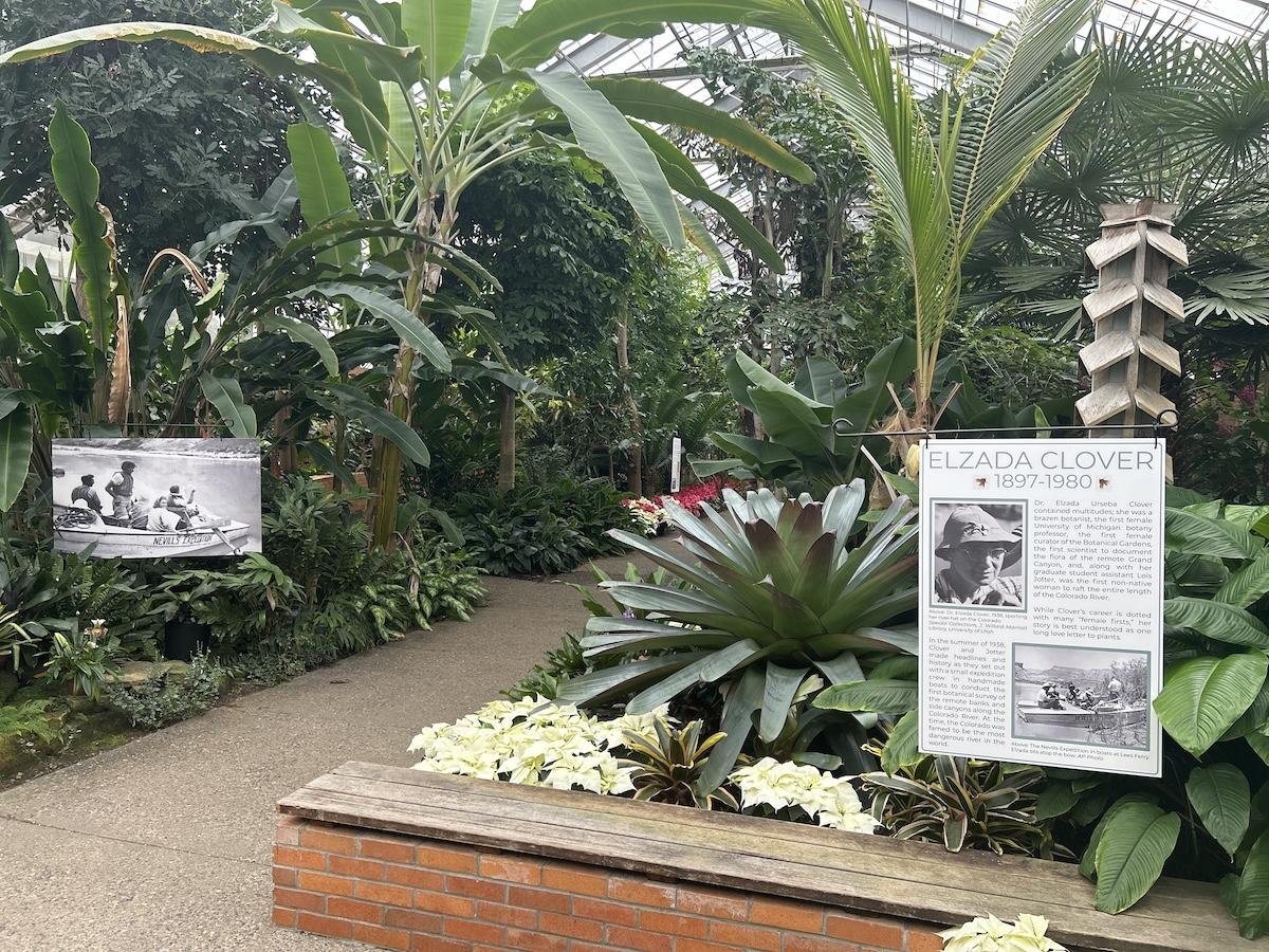 interpretative panels in the tropical house of the cnoservatory
