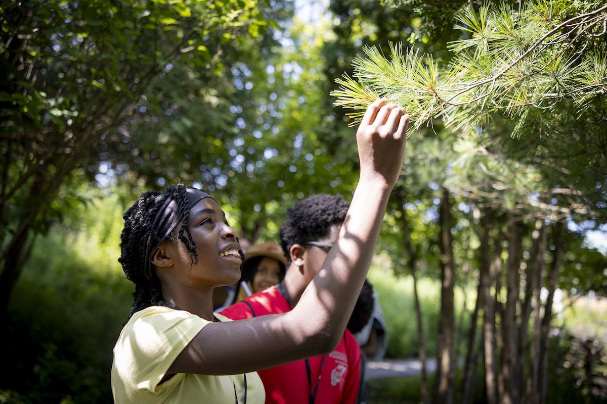 a teen looks up at and touches a pine branch