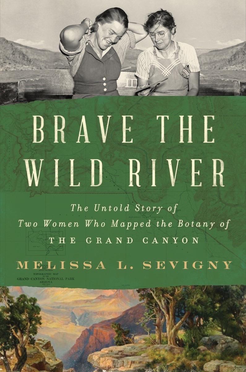 Book cover for title "Brave the wild river"