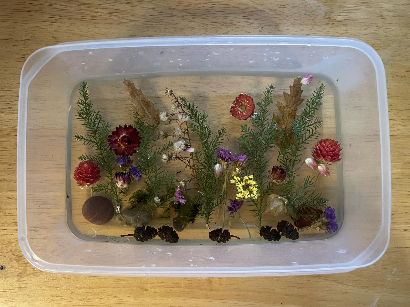 plastic container with natural materials like dried flowers and pine