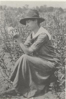 Right, Frieda Cobb (Blanchard) studying Oenotheria 