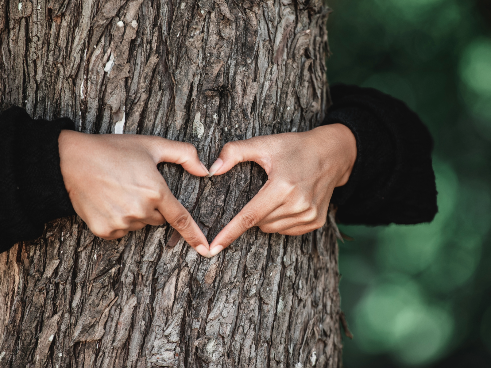 Arms around a trunk of a tree and hands make heart shape