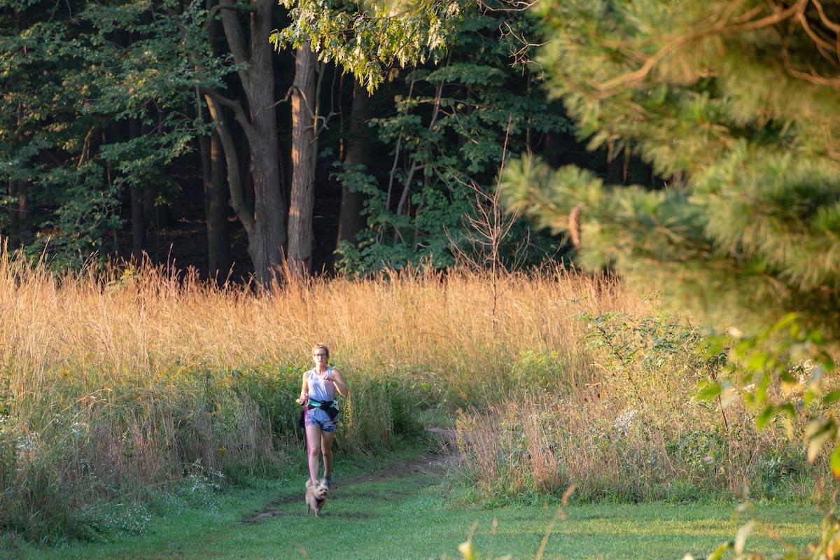 person walking dog in Nchols Arboretum