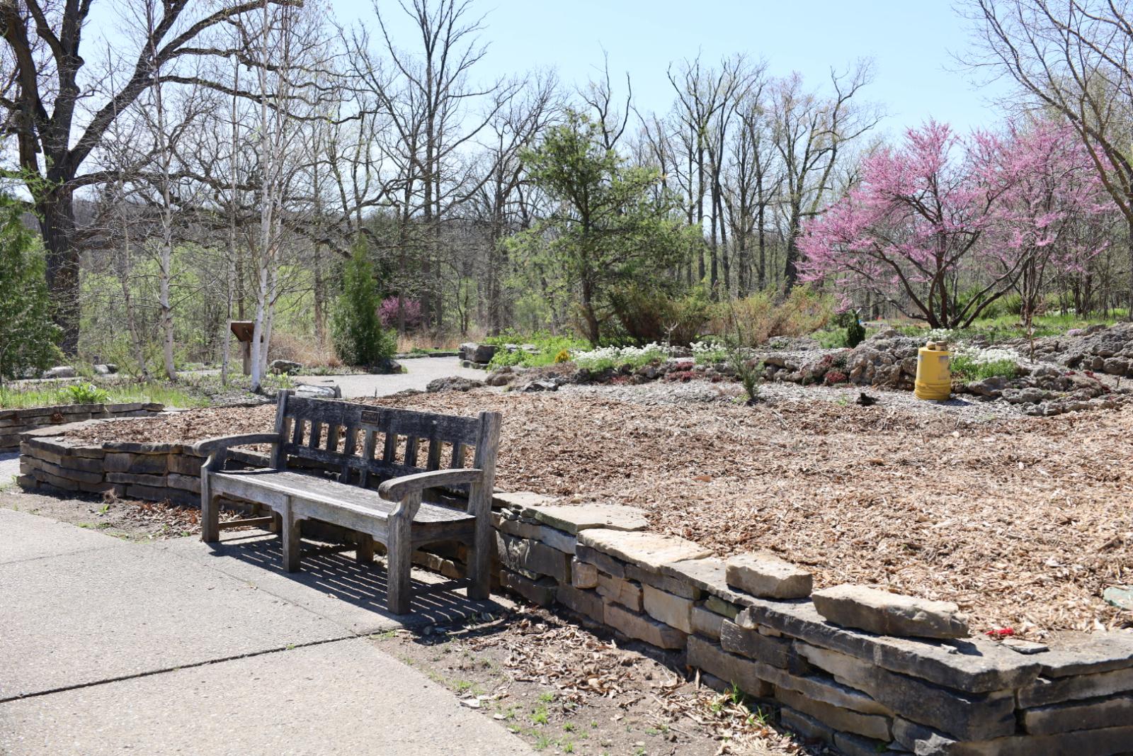 tidy garden bed of wood chip mulch