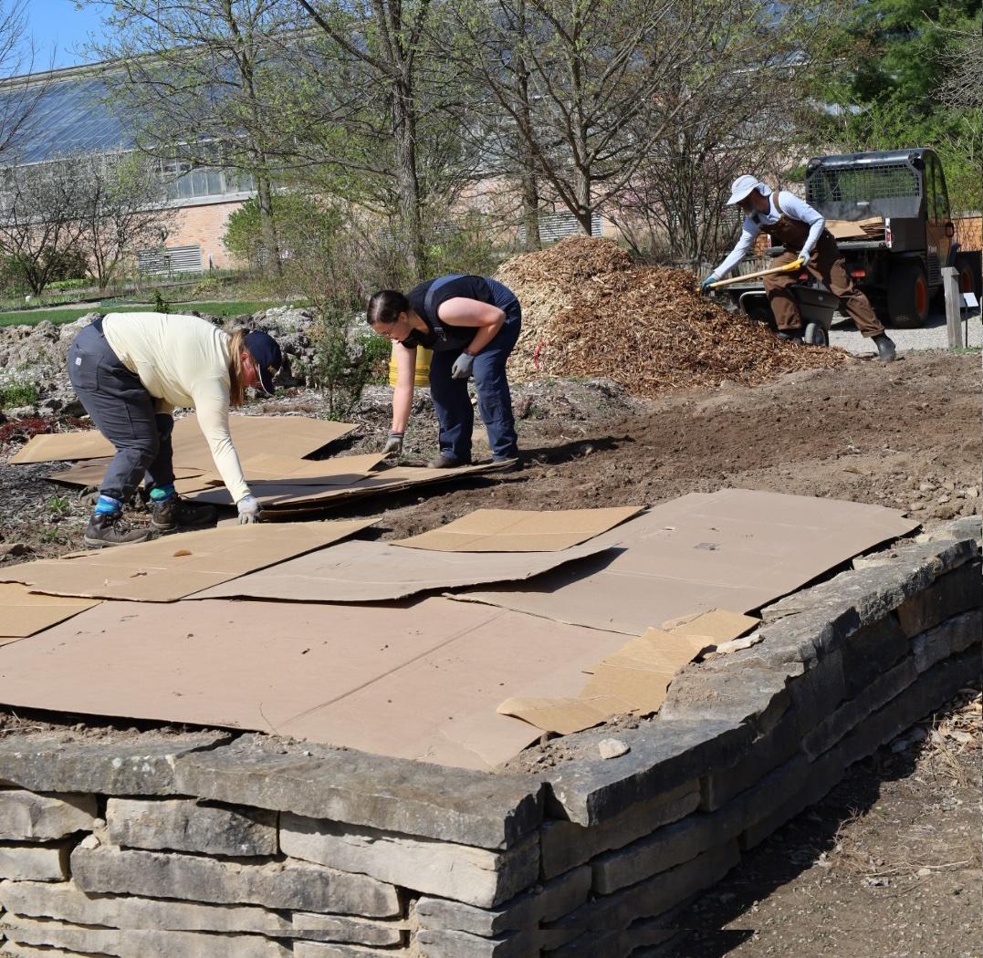 two people laying sheets of cardboard in garden bed