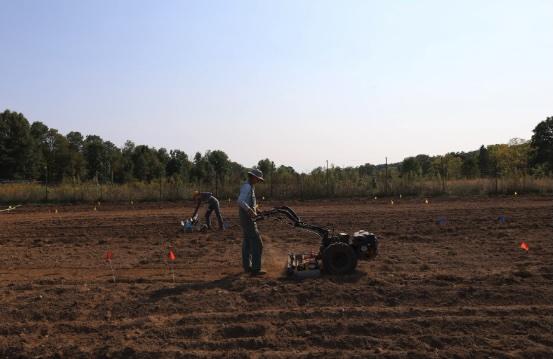 two people working in a farm field