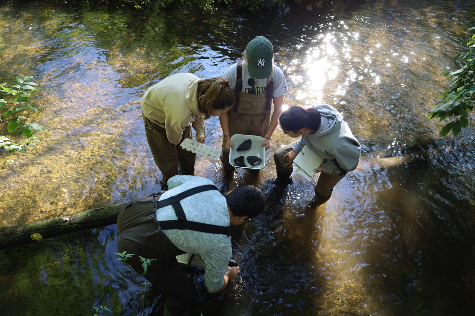 water sampling in flemming creek