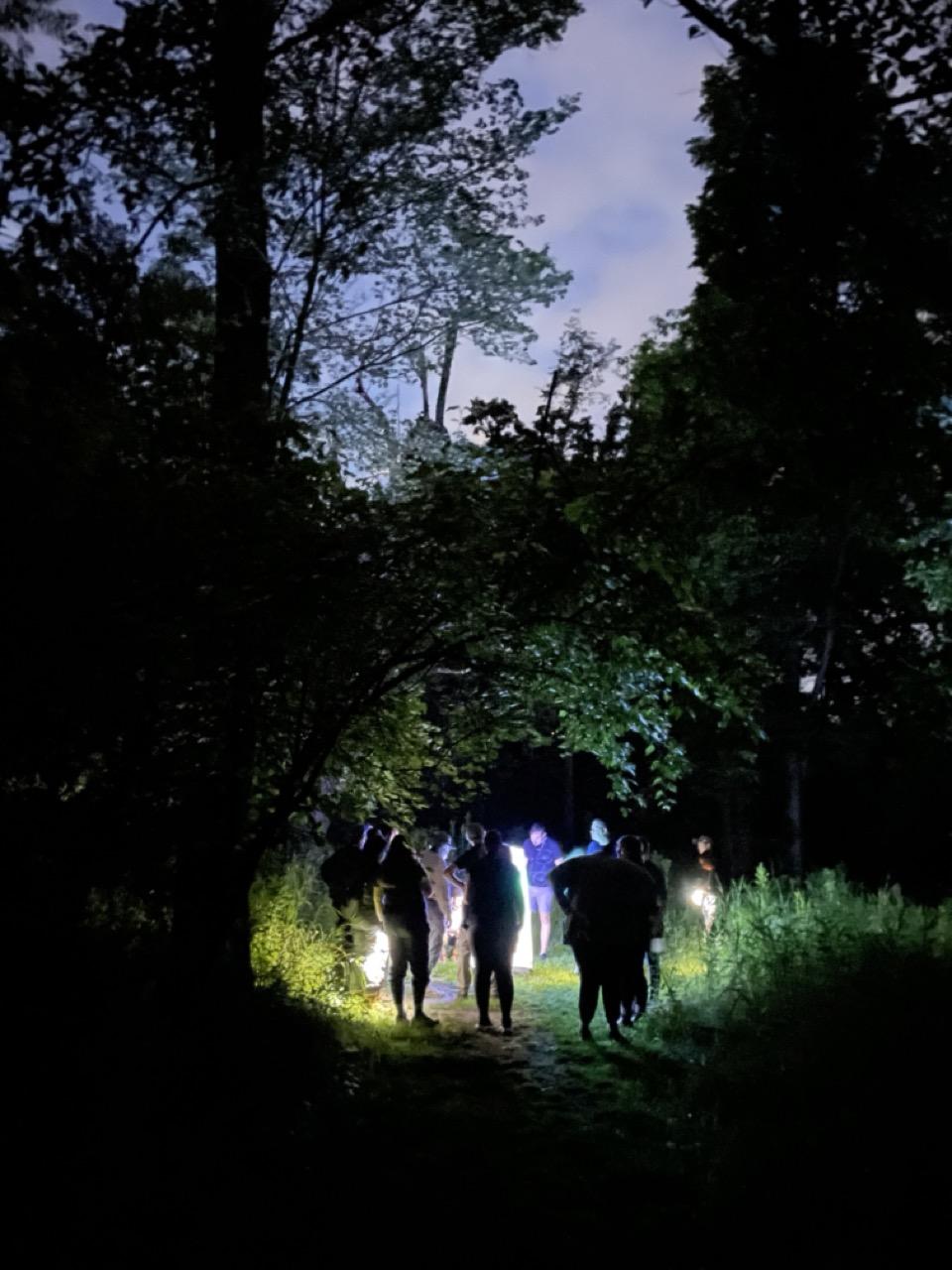 Moth enthusiasts gather around a UV light-filled column to observe nocturnal moths. 