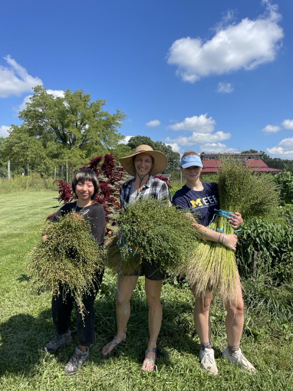 Angeline, Melissa, and Annie hold arm fulls of harvested flax plants.