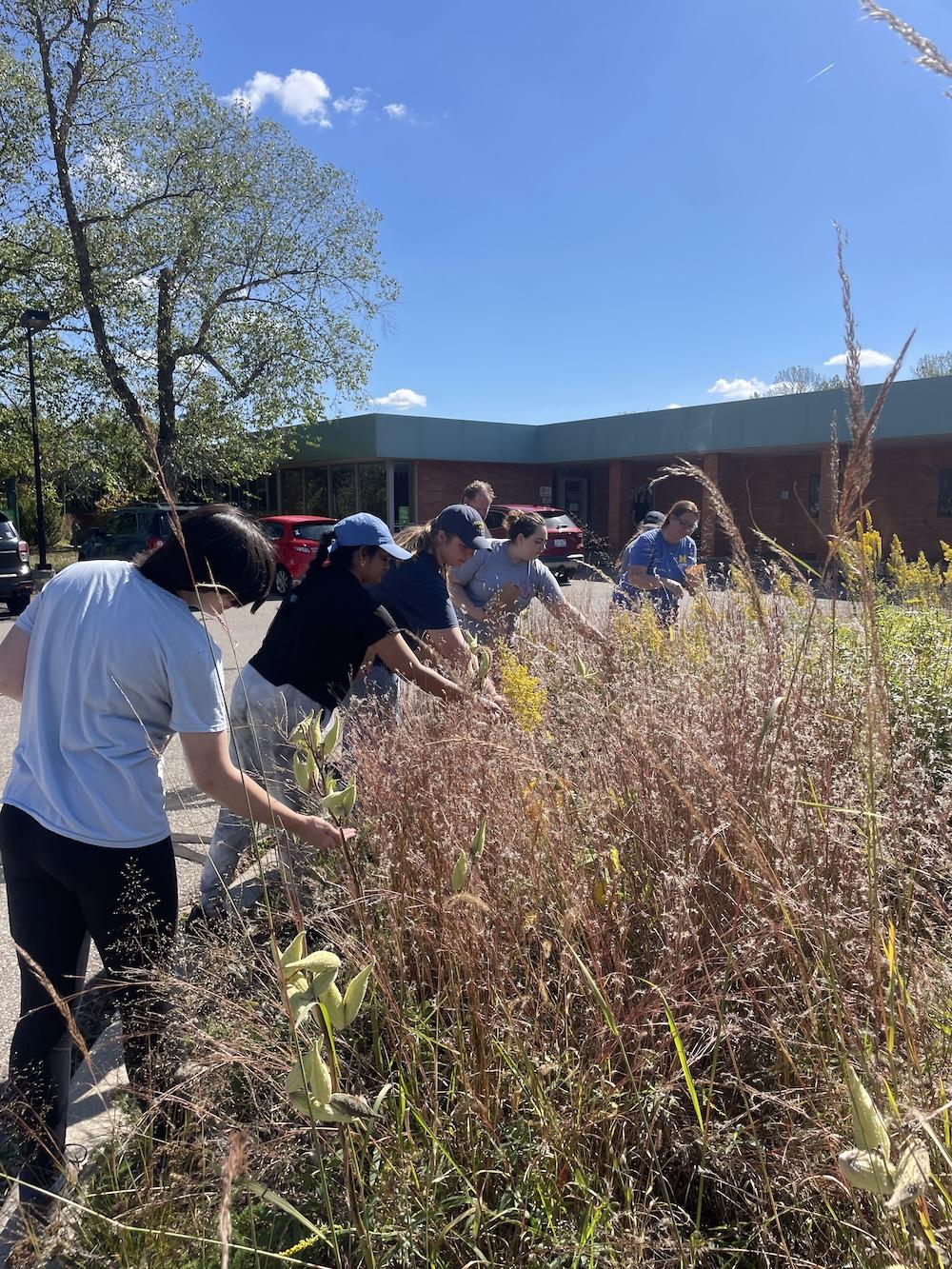 A group of volunteers collecting seeds 