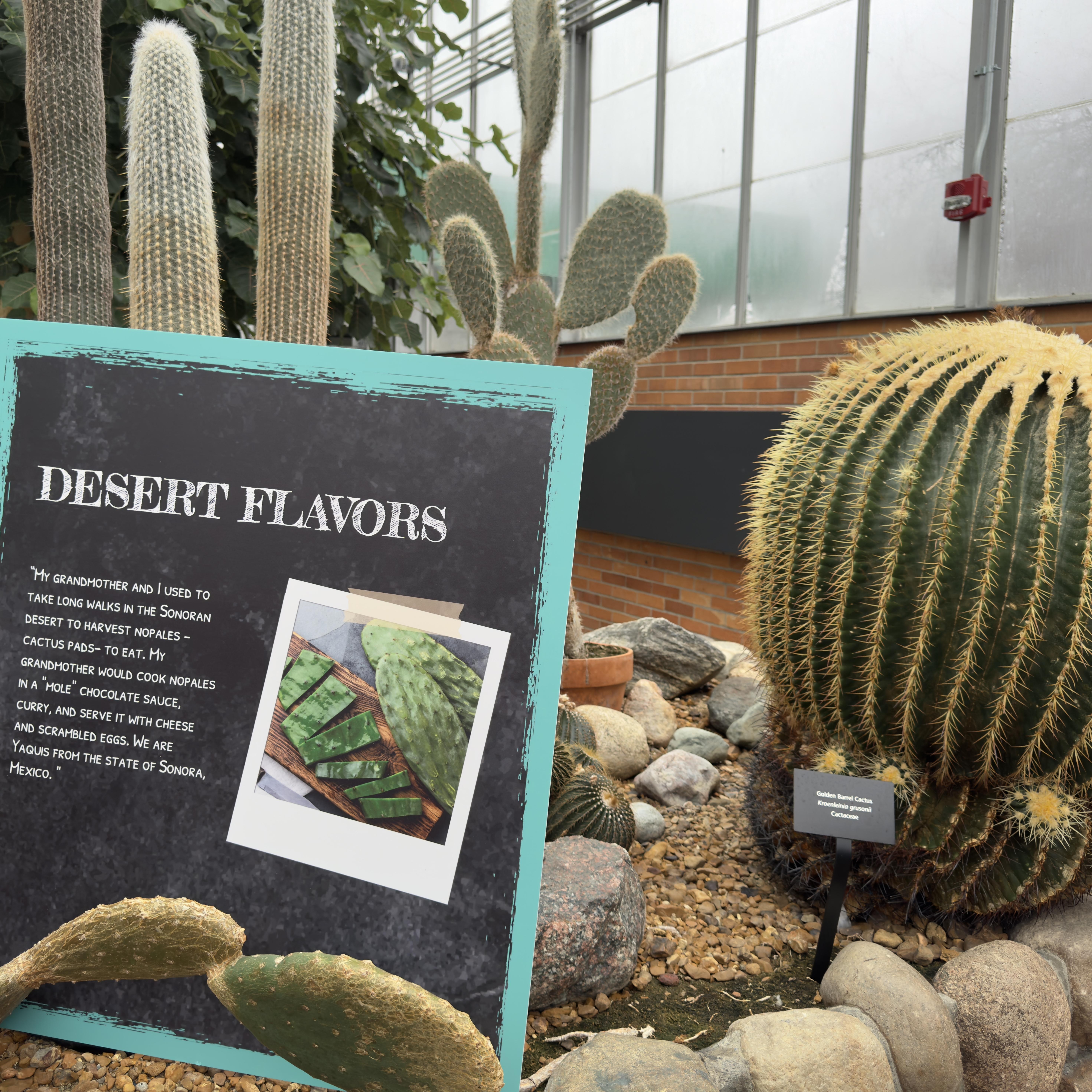 Interpretive sign in front of a cactus