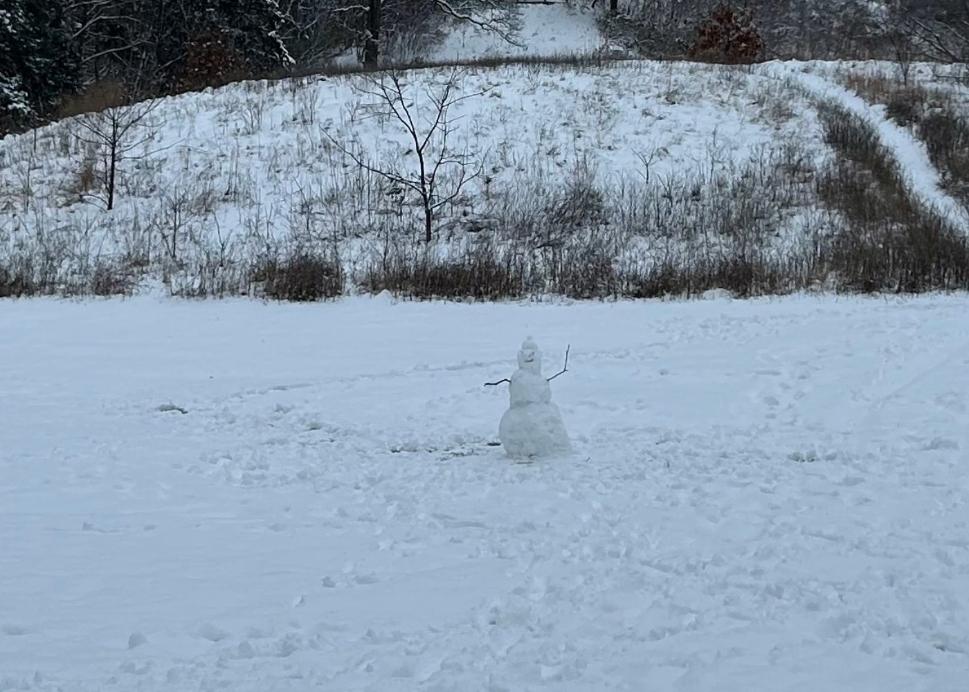 A snow person in the Arboretum