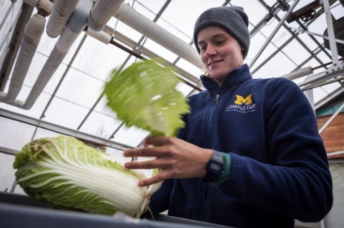 Haley Kerner, a Campus Farm Manager, prepares napa cabbage before distributing.