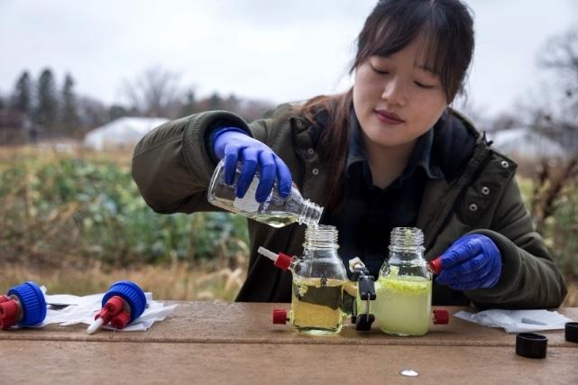 Photo caption: Jisu Yang feeds the reactor at Campus Farm, 2025.