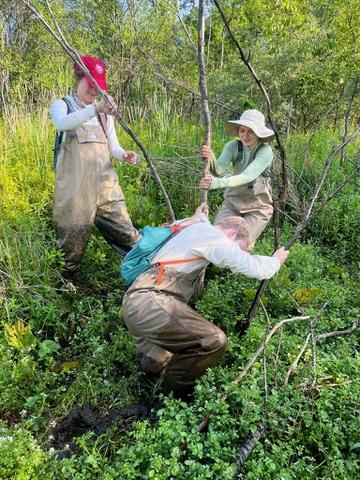Habitat assessment means in the wetlands as a group