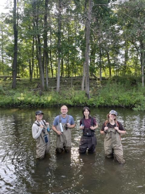 Sydney Lubeck, Cooper Offord, Teresa Li, and Mel Shea wade in Fleming Creek during their fieldwork season in July 2025. 
