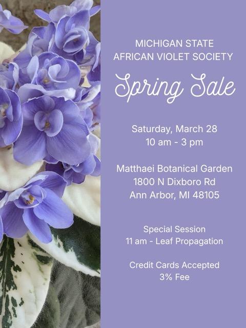 image of violets with this text: MICHIGAN STATE AFRICAN VIOLET SOCIETY Spring Sale Saturday, March 28 10 am - 3 pm Matthaei Botanical Garden 1800 N Dixboro Rd Ann Arbor, MI 48105 Special Session 11 am - Leaf Propagation Credit Cards Accepted 3% Fee