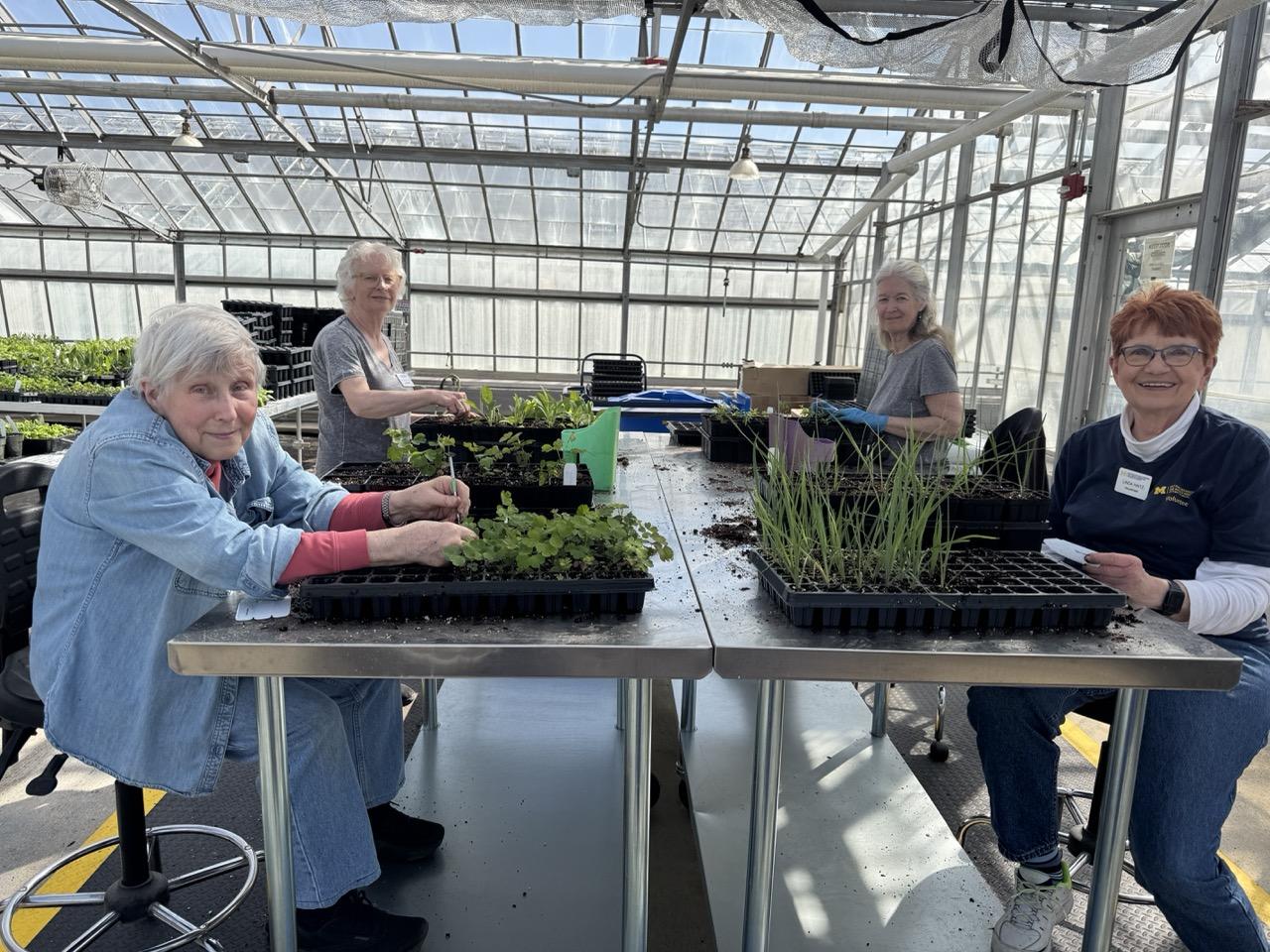 four volunteers in a greenhouse with plants at a table