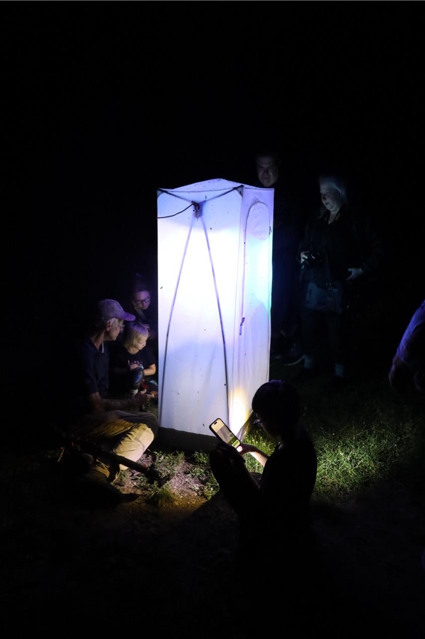 A large light lantern to attract moths at night