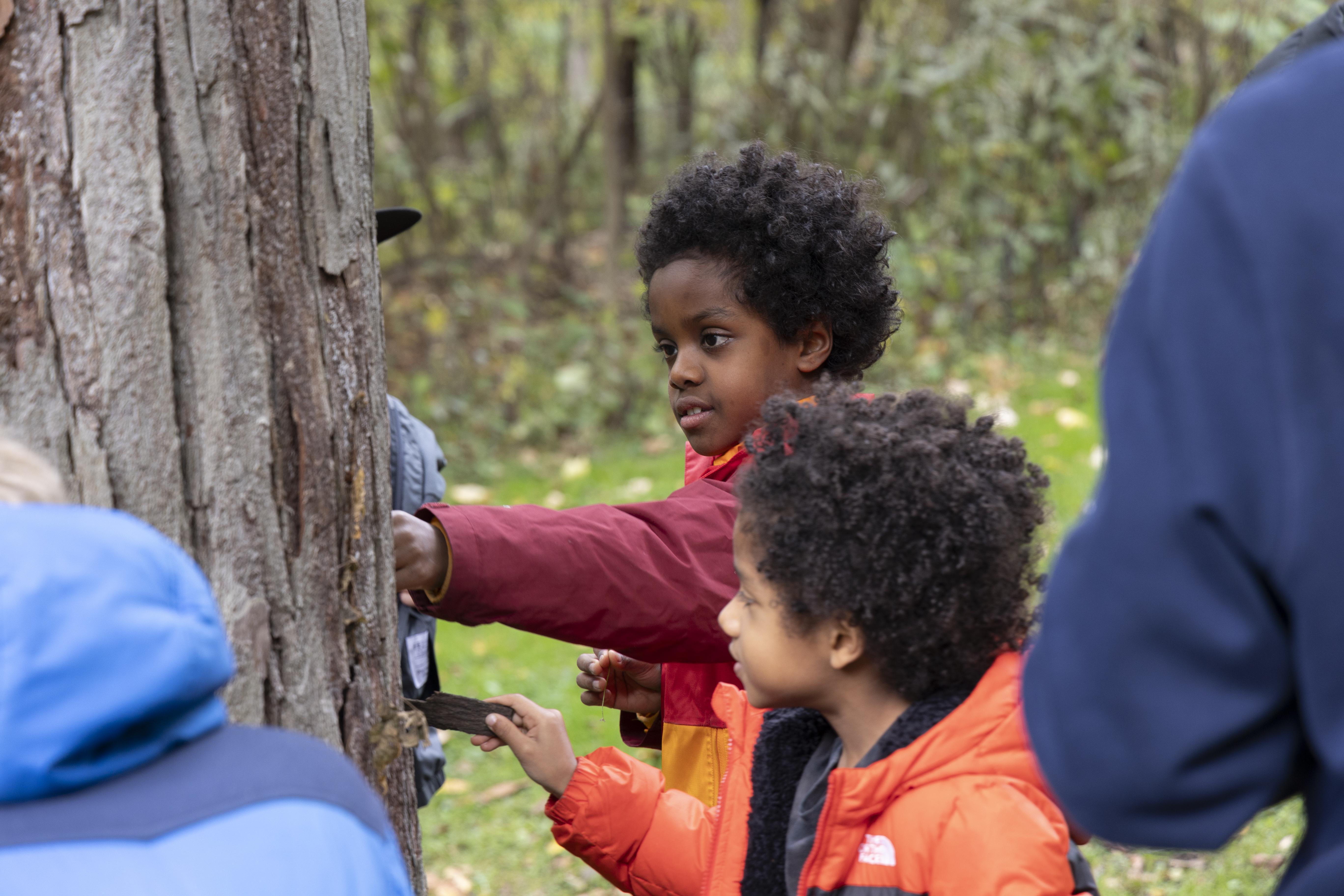Students on a field trip touch a tree trunk