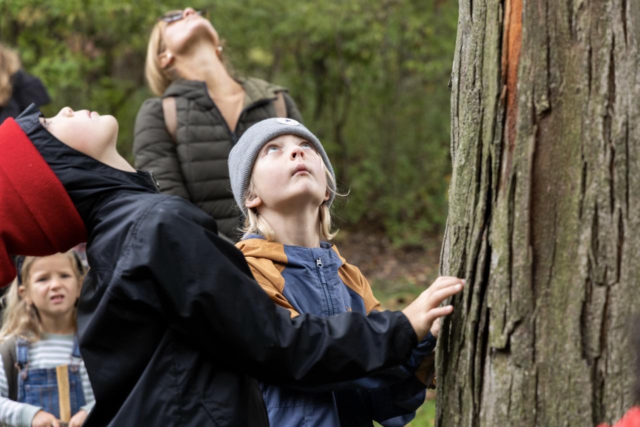 field trip students looking up into a tree