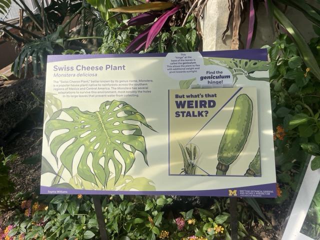 interpretation panel created by UM student